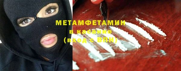 индика Алексин