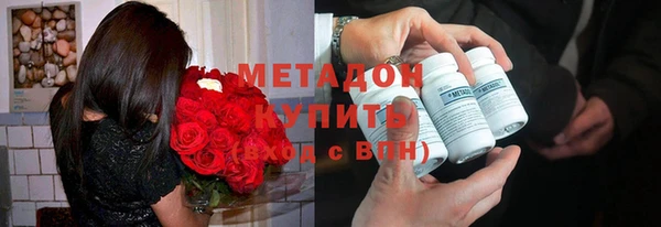 индика Алексин