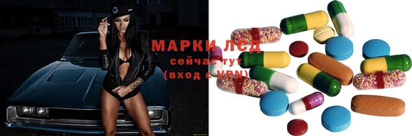 индика Алексин