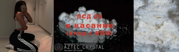 индика Алексин