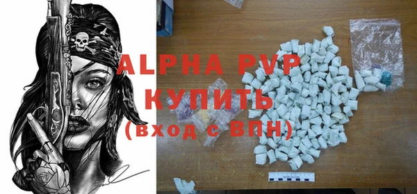 индика Алексин