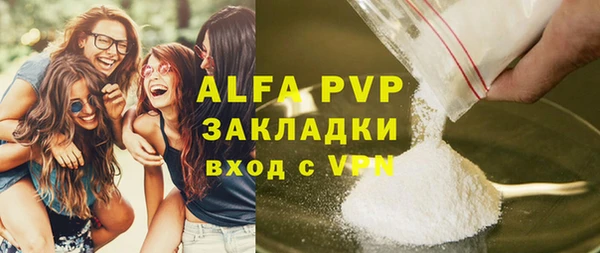 индика Алексин